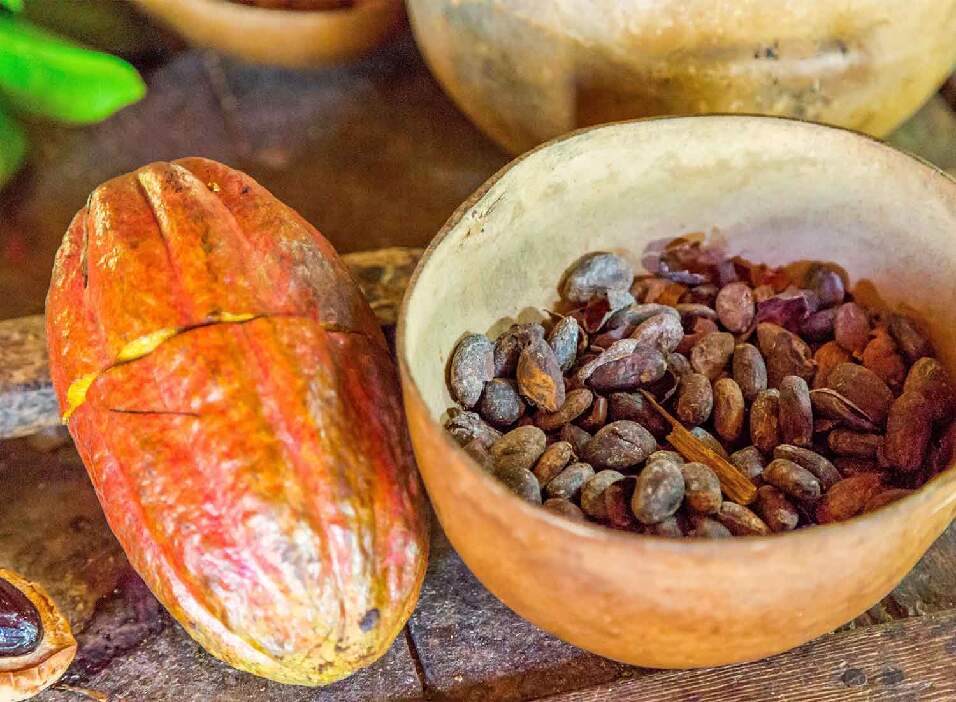 close up of a bowl of food on a table | Emeraldsuites